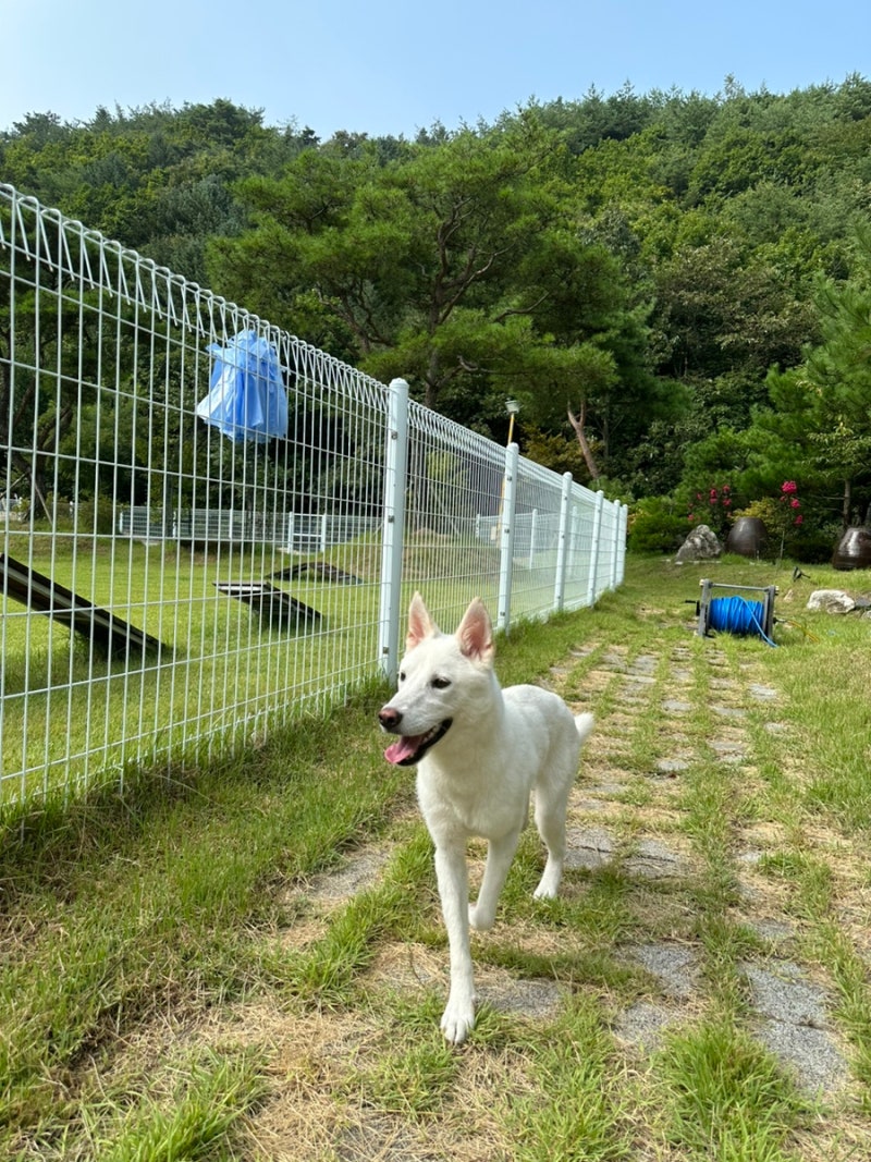 사진 4