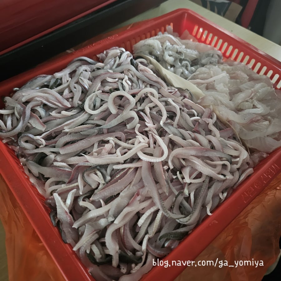 진영신포횟집 사진 3