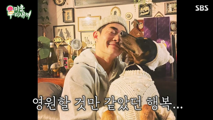 미우새 <b>배정남 반려견</b> 벨 <b>전신마비</b> 2년간의 재활 결과