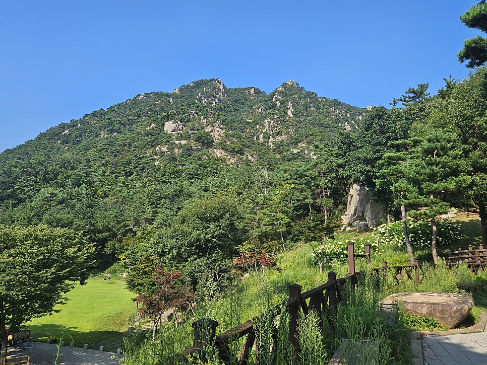 용봉산자연휴양림숲속의집 사진 4