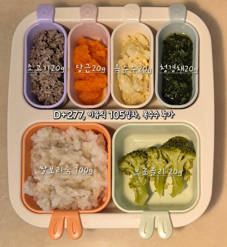  후기 이유식 옥수수, 9개월 아기 토핑 이유식 스케줄