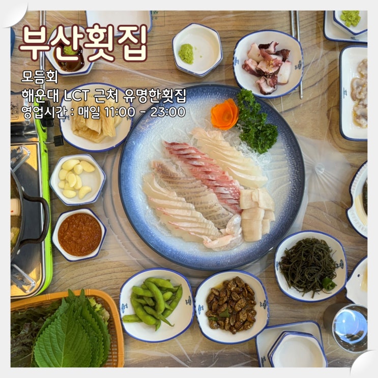  해운대LCT맛집, 해운대유명한횟집 '부산횟집'
