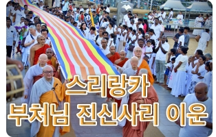  [BBS불교방송다큐]붓다가야사 진신사리 이운 순례기