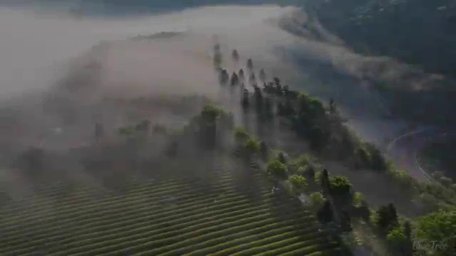  대전 프랜차이즈가맹점창업 오븐마루 배달 창업 기름값 부담없는 부부 창업 월세 부담 최소화 설명회에 참여하세요
