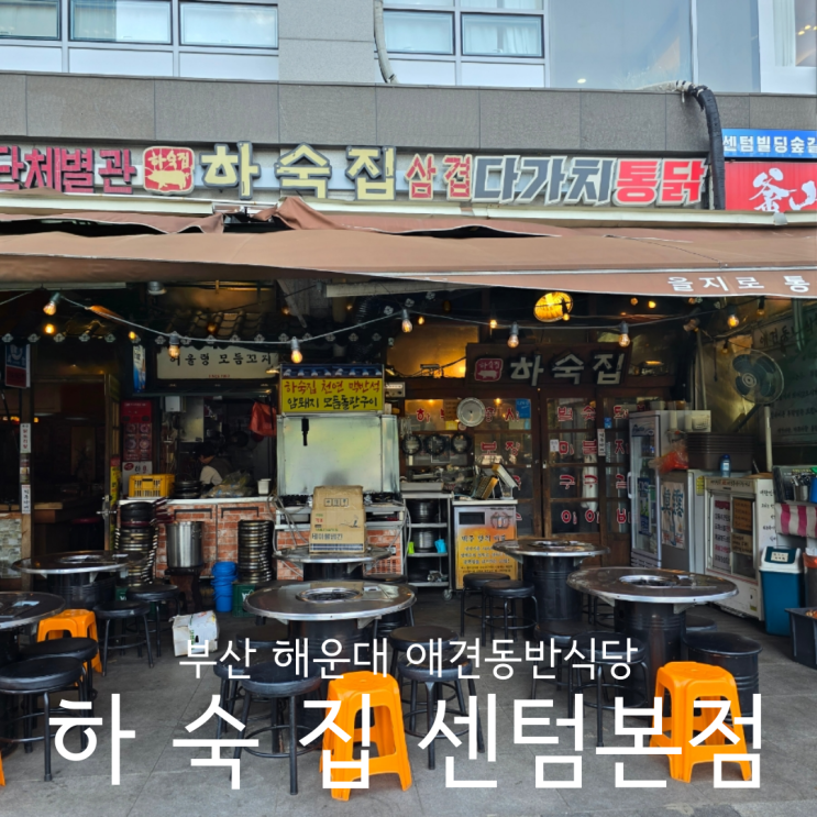  부산 해운대애견동반식당 레트로감성 야장 맛집 하숙집 센텀본점