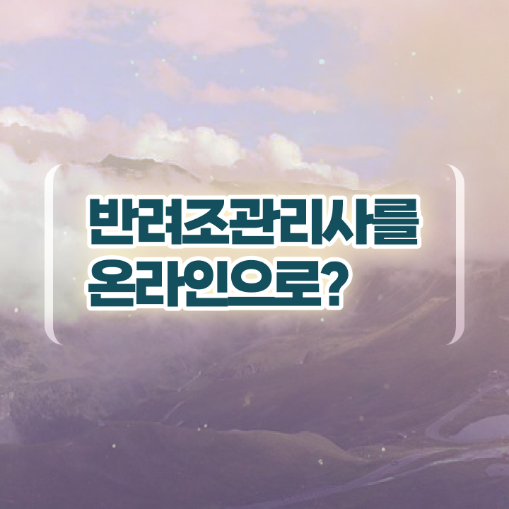  모란앵무새 키우기 , 반려조관리사 자격증 20일 만에 시험준비 및 구직정보