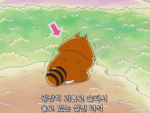  부산-경기도 장거리 연애, 정신 차려보니 남자친구가 부산남자 