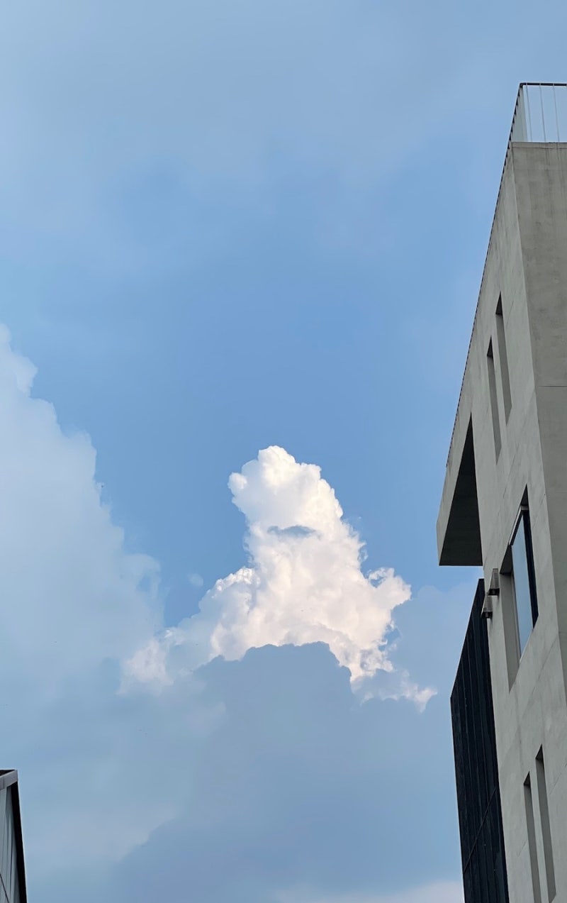 한남동 데이트 코스 추천_한남동 브런치 세라클한남, pvcs, 코인노래방, 아시안음식점 다츠 : 네이버 블로그