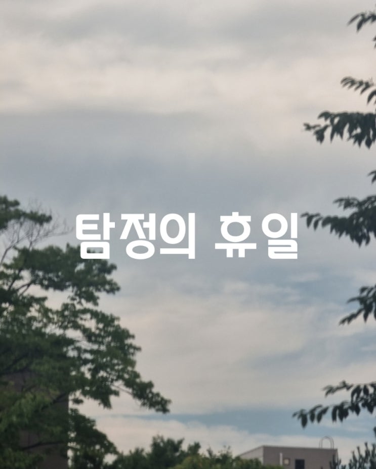  갑자기 찾아오지만 너무 고마운 휴일