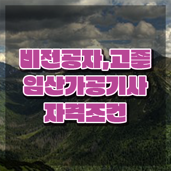  임산가공기사 응시자격 독학으로 5달만에 성공한 노하우