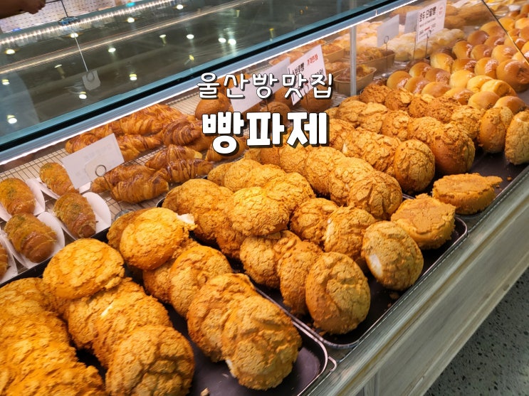  울산빵맛집 울주맛집 언양대형베이커리맛집 빵파제