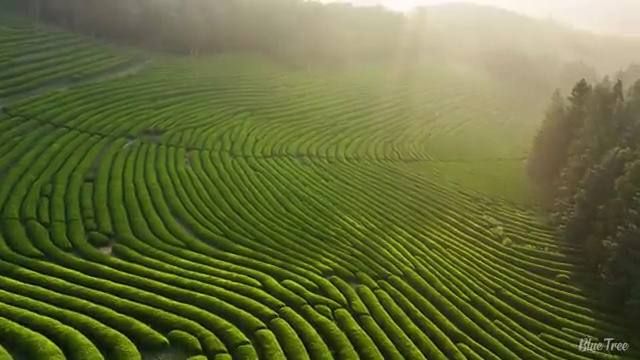  수산물품질관리원 자격증 , 준비한 방법