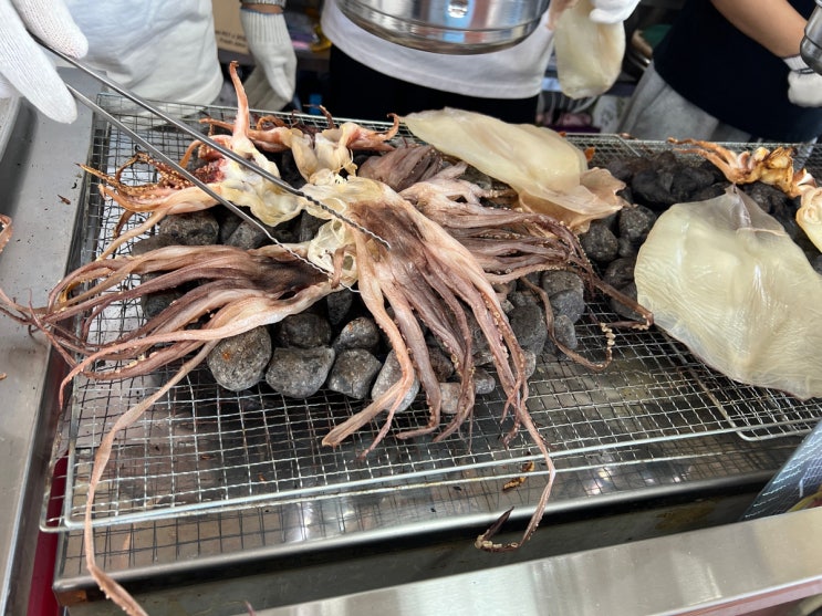  [제주 성산] 바다 앞 가맥집 '목화휴게소', 맥주를 부르는 오징어구이 포장