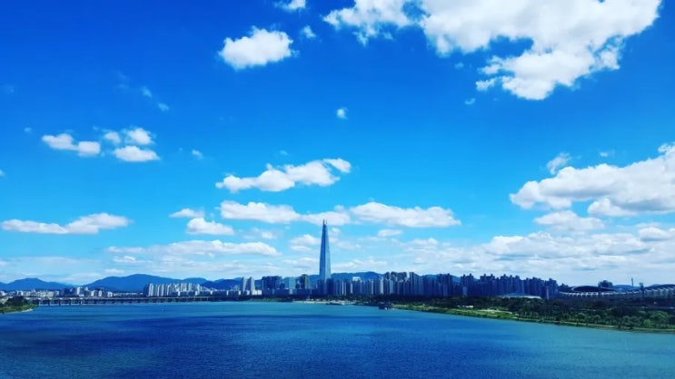  서울 자취생이 24년에 바라본 강남 부동산 전망