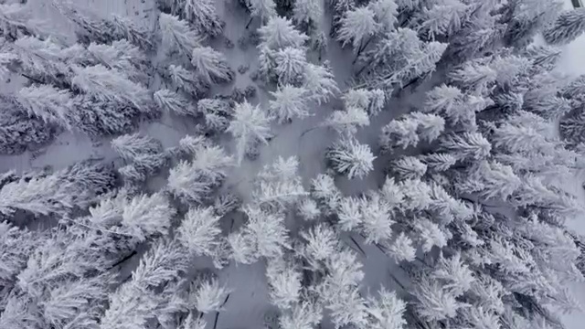  네일아트 국가자격증 필기 , 네일아트지도사 자격증 온라인으로 쉽게 학습한 후기 정보 퍼펙트 요약