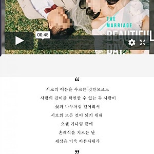 결혼식식전영상 컴프프로 의자 커버  반드시성공