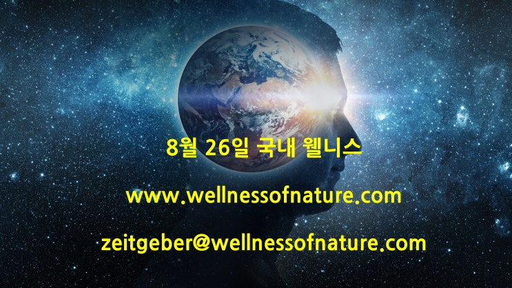 2024년 8월 26일 국내 웰니스 소식