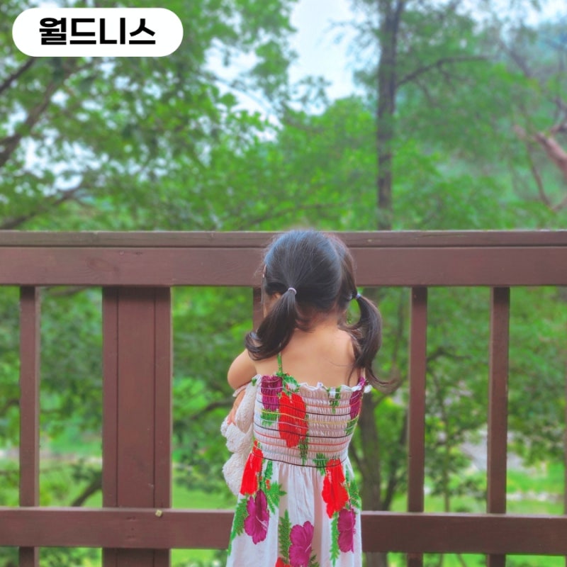 사진 4