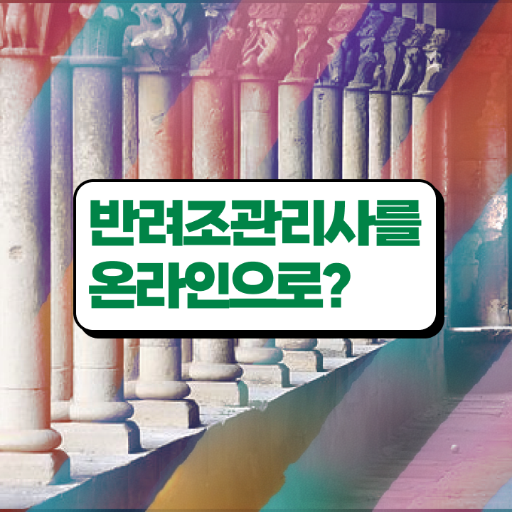  코뉴어 앵무새 키우기 , 반려조관리사 자격증 비용없이 온라인으로 취득한 과정 추천합니다