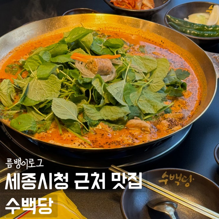  보람동맛집 세종 시청 앞 맛있는 전골요리 수백당
