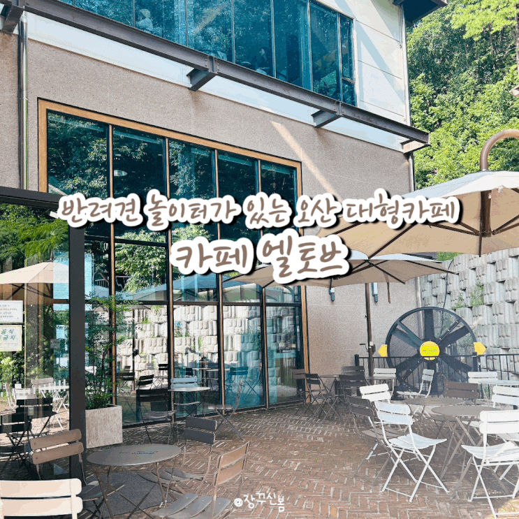 반려견 놀이터가 있는 오산 동탄 대형카페 엘토브 강아지는 야외로만 반려견 놀이터가 있는 오산 동탄 대형카페 엘토브 강아지는 야외로만