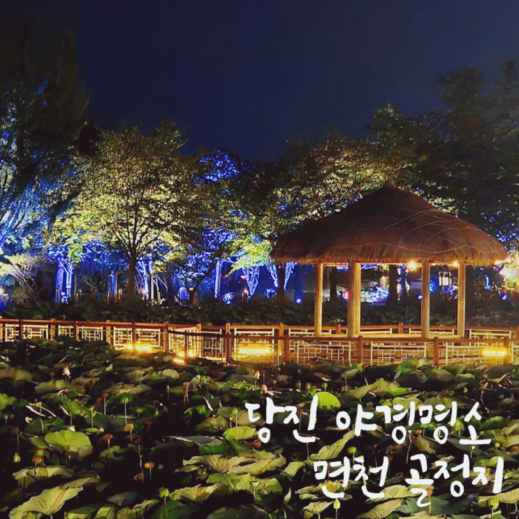  당진가볼만한 곳 당진야경명소 면천 골정지