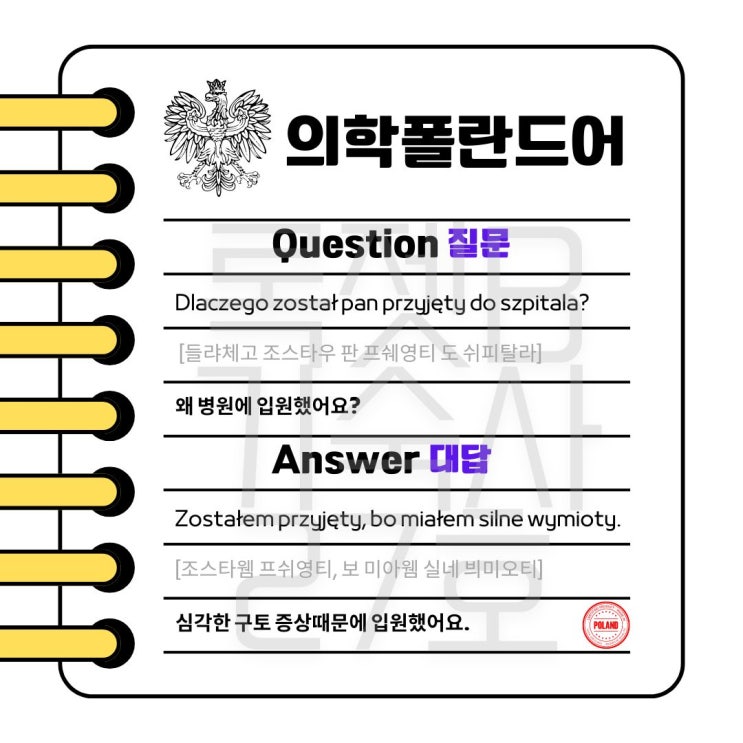  #의학폴란드어 #1question #1answer