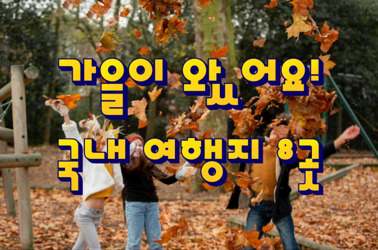  가을의 시작, 9월에 꼭 가봐야 할 국내여행지 8선