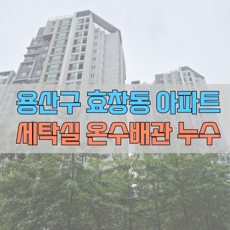  # 용산구 효창동 누수 롯데캐슬 세탁실 온수배관 #