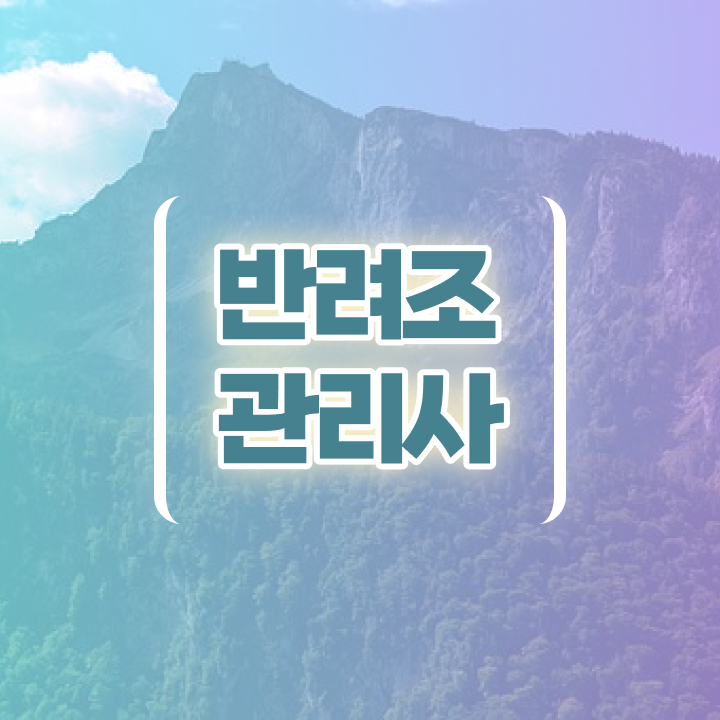  모란앵무새분양 , 반려조관리사 자격증 1달 만에 합격한 팁 필수 정보