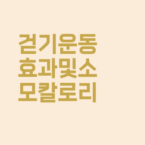  만보 걷기 운동할 때 소모되는 칼로리 효과는 얼마나 될까요