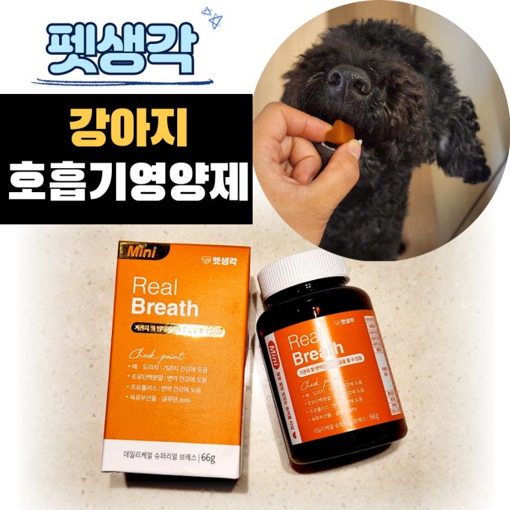  강아지기관지협착증영양제 펫생각 찐후기