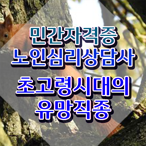  노인심리상담사 1급 , 노인심리상담사 자격증 합격한 비법 확인하기