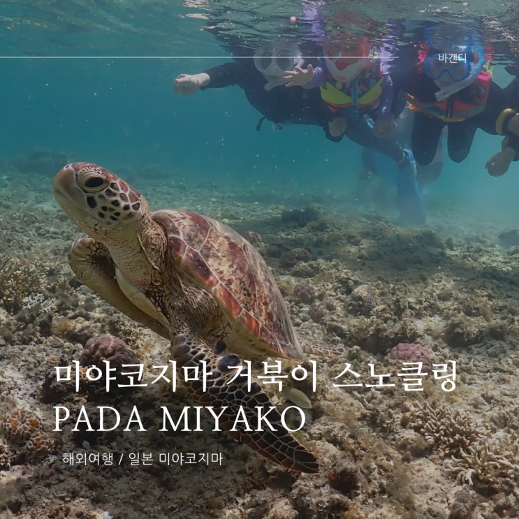  미야코지마 미야코섬 거북이 스노클링 해변 추천
