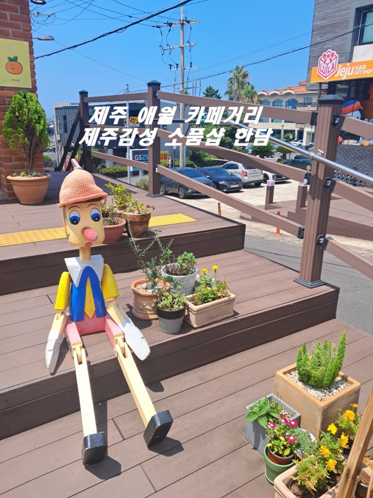  제주 애월 카페거리 가볼만 한곳 제주감성 소품샵 한담