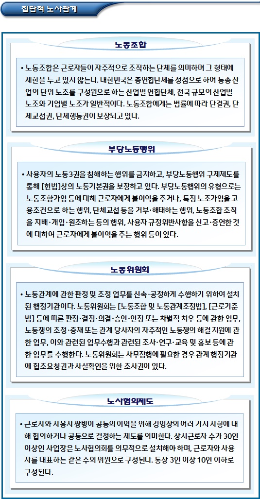 외국인투자기업 집단적 노사관계 외국인투자기업 집단적 노사관계