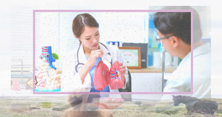 폐암 OUT 건강한 생활 방식 수립