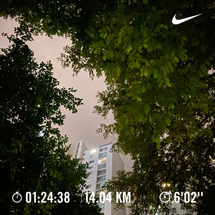  러닝로그_240826 14km 무난런