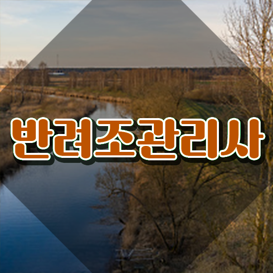 아마존앵무새분양 , 반려조관리사 자격증 온라인으로 간단히 합격한 전략 , 취업 전망