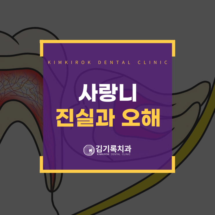 매탄동 사랑니 꼭 뽑아야 될까? 그 진실과 오해, 지금 바로 확인하세요!