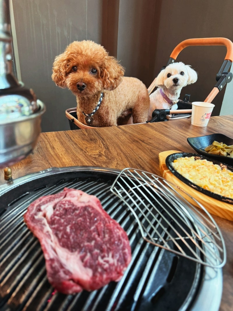 사진 2