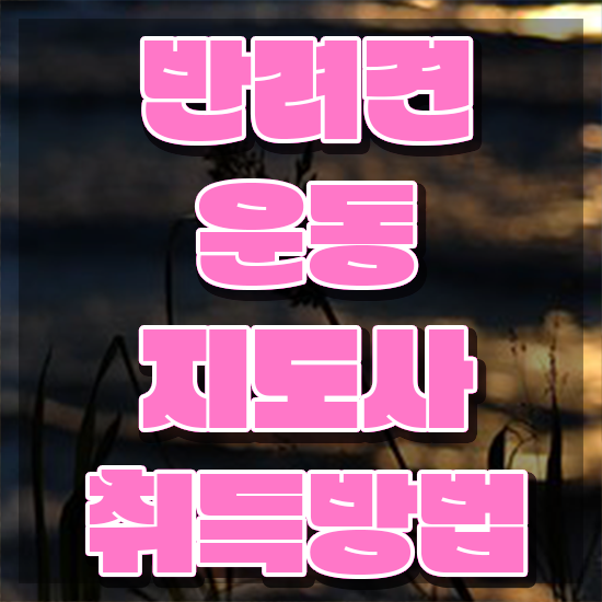  반려견운동지도사 분석가 , 독학으로 반려견운동지도사자격증 준비한 방법
