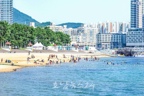  전남 해수욕장 올 여름 51일간 방문객 63만명·인명사고 제로