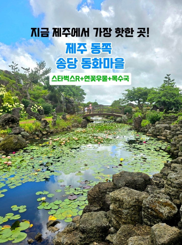  제주 동쪽 동화마을- 송당 스타벅스R