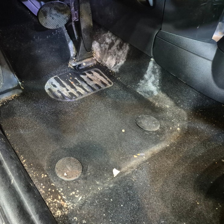  김포 차량 내부 곰팡이 더 늦기 전에 미니쿠퍼 얼룩 크리닝으로 해결