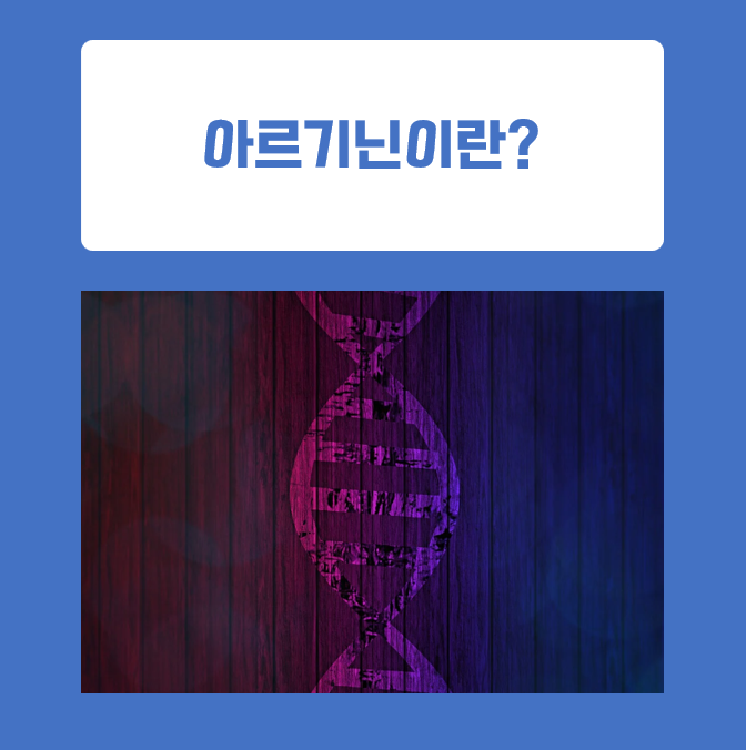  아르기닌 정말 효과 있을까? 복용 전 필수 체크 사항