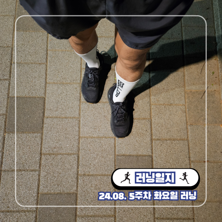  인터벌 러닝 트레이닝 코로나 운동 하프마라톤 준비 프로그램