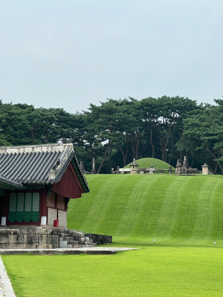  여주 여행 아이와 함께 가볼 만한 곳 세종대왕릉 입장료 및 주차 정보