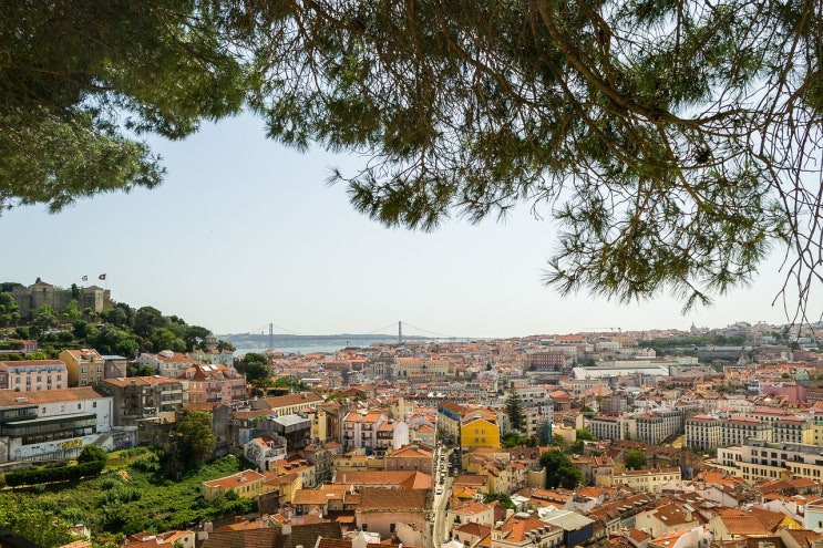  디지털 노마드 세계여행 발리 치앙마이 리스본 추천 이유