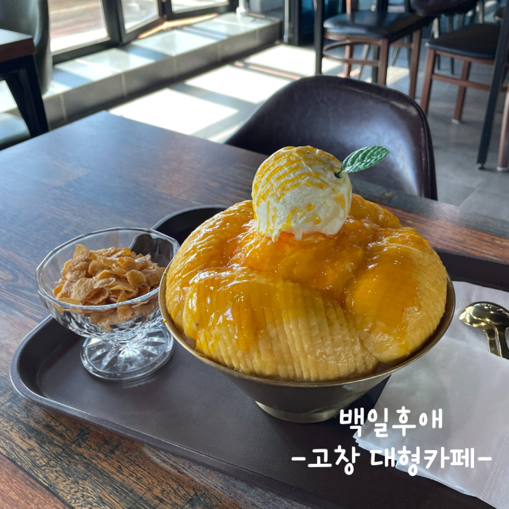  [고창] 대형카페 :: 백일후애